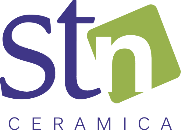 logo-stn